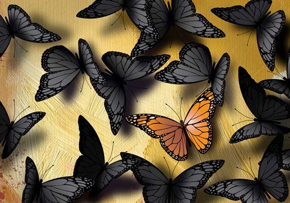 UniqueButterfly_Fotolia_168371075-700x400 UniqueButterfly_Fotolia_168371075-700x400